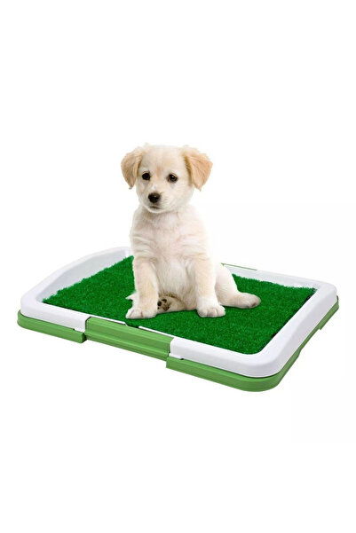 Alista Home Dog toilet - 47 x 34 x 6 cm - 1 L