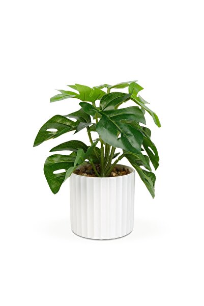 CED AUTO TRADE Planta artificiala decorativa - Filodendron verde - 20 x 8 cm