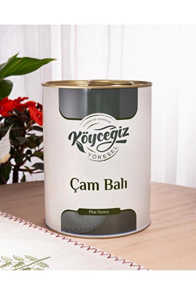 Köyceğiz Yöresel Kb Çam Balı 4850 G Teneke