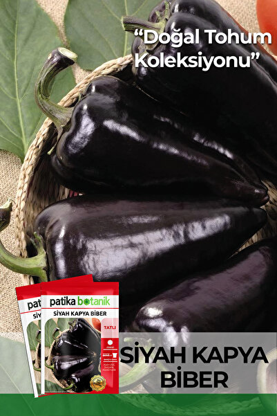 Patika Botanik 20 Adet Siyah Kapya Biber Tohumu
