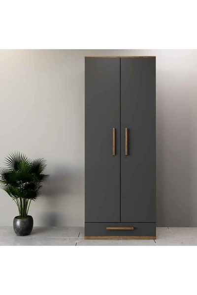 Stylish Home Gray and brown two-door wardrobe and closet - DLB03