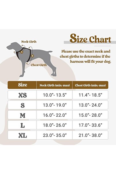 Rabbitgoo Padded No-Pull Adjustable Dog Vest Harness with Front Clip and Handle