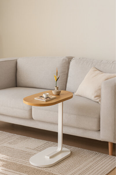 GESR HOME Single Wood and Metal Coffee Table - Modern
