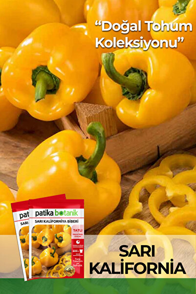 Patika Botanik 100 Adet Sarı Kaliforniya Biber Tohumu