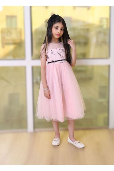 Generic Girls' dress with floral and branch embroidery