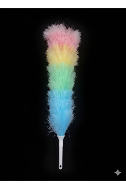 plastike Dust Removal Brush
