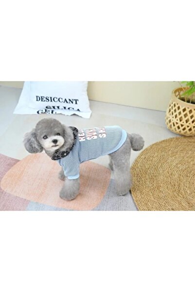 Pets Hong Pet Cool Silk Stripe Color Hat Jacket - Blue small