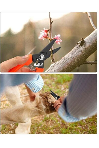 Generic عبوة من قطعتين من مقصات تقليم حوافر الماعز، مقص تقليم شجيرات متعدد الأغراض مقاس 7 بوصات - مناسب للماعز والأغنام والخيول والتقليم