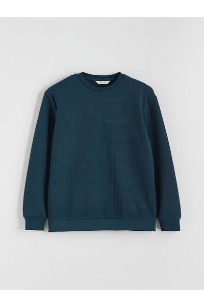 LC Waikiki Ανδρικό φούτερ Crew Neck