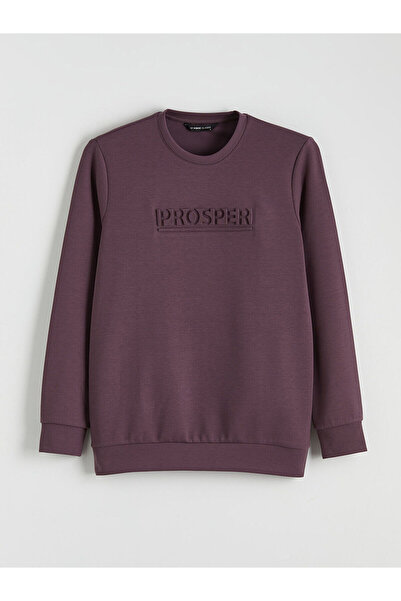 LC Waikiki Ανδρικό φούτερ με στάμπα Crew Neck