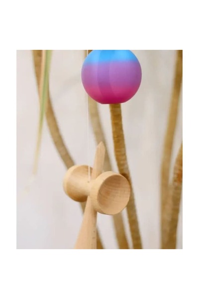 xpress sales Professional Kendama, Master Expert