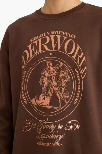 DeFacto Боксерска блуза с качулка и принт F2111AX25AU