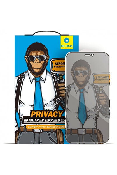 Apple Προστατευτικό οθόνης Blueo για iPhone 16e / 14 / 13 Pro / 13, Γυαλί