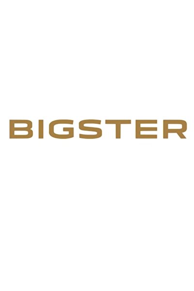 Oracal Car sticker written Bigster for hood or body, 30cm, copper