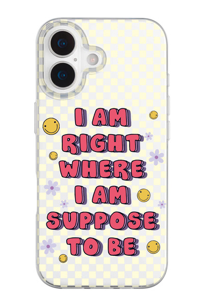 shoptocase iPhone 17 Uyumlu Dama Smile Desenli Şeffaf Silikon Telefon Kılıfı