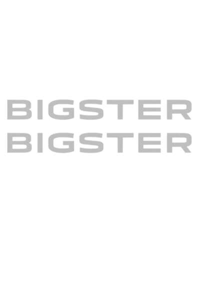 Oracal Set of 2 stickers written Bigster, 40cm, gray