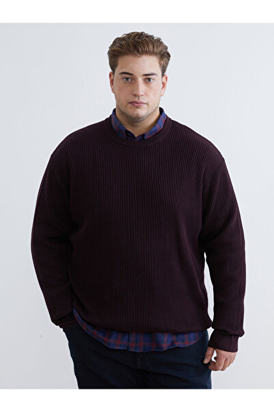 LC Waikiki Plum Crew Neck Men's Knitwear Sweater