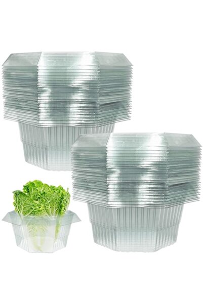 YeahBoom Set of 20 Slug Protection Collars, Plastic, for Vegetables, Reusable