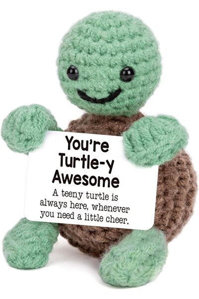 COOYA Mini Funny Turtle Christmas Birthday Gifts for Women Men Grandkids, Stocking Stuffers for Teen, Insp