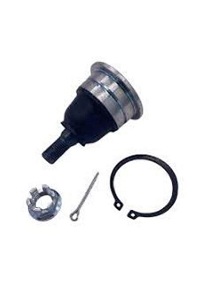 CAR Knee over Datsun 1998-2016 Japanese 555