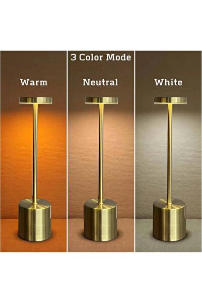 Aishini Creative LED Table Lamp, Touch Control, 3-Color Dimmable, Rechargeable, Type-C, Gold