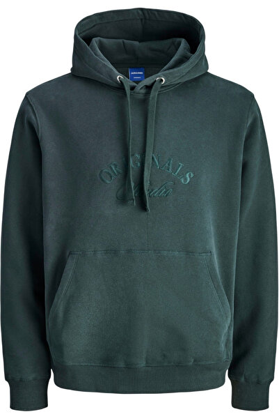 Jack & Jones JACK &JONES Bleeker Branding Hood PLS sweatshirt - 12287057-Forest River
