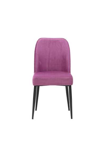 ARTA DOOR Baron Chairs Violet Textile, - Modern, HoReCa, Kitchen, Living Room, Office, Bedrooms, Hallways