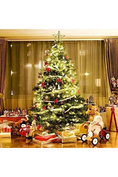 REDz Accessories Εγκατάσταση Χριστουγεννιάτικου Δέντρου Κουρτίνας, 160 LED, 9 γραμμές, Μήκος 2,2 m, Θερμό Φως