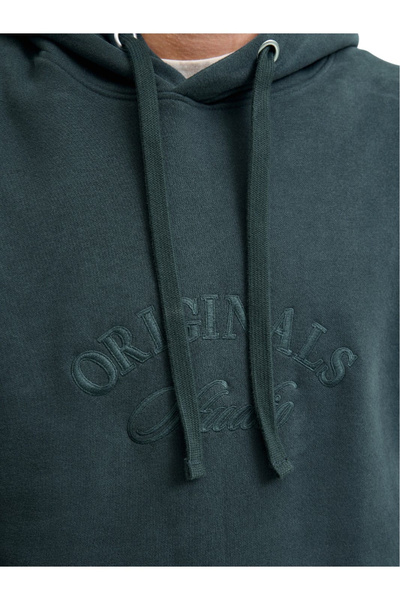 Jack & Jones JACK &JONES Bleeker Branding Hood PLS sweatshirt - 12287057-Forest River