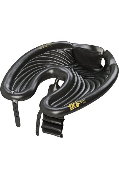 genernic Chrome Cherry Mobile Salon Inflatable Basin for Washing Hair at Home (2 Count, Black)