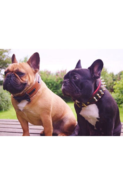 Bestia Bowtie Collar, Genuine Leather, M, Brown/Black