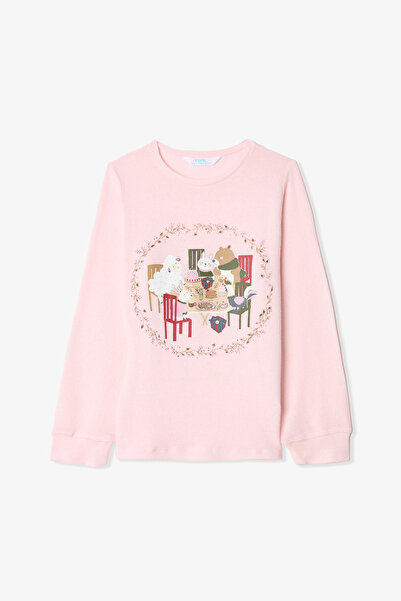 Penti Dusty Rose Girl's Striped Printed Pajama Set