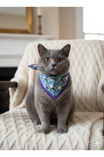Masc Ozc Halloween Pattern Triangle Cat Scarf Bandana