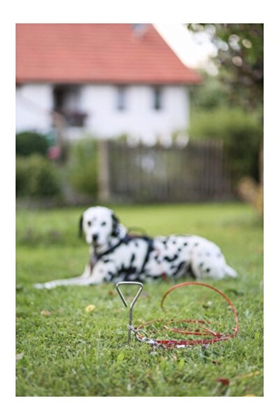 KERBL Dog Leash Set - Stake and Yard Cable - 6 m