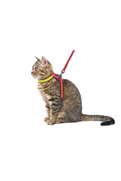 KERBL Set lesă și ham Rainbow - Pisică