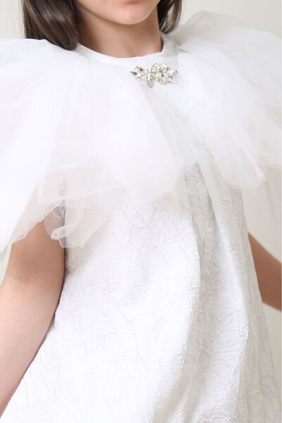 Generic Girls' dress with puffy sleeves