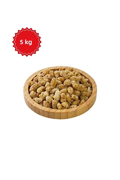 Araz et توت طبيعي مجفف 5 كجم – بدون إضافات، بدون سكر مضاف، مجفف بالشمس