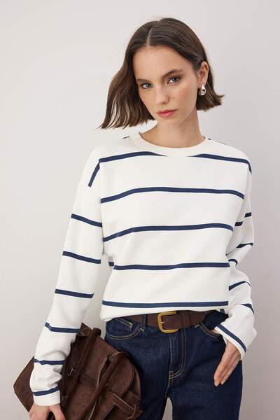 Trendyol Collection Екрю Смугастий Регулярний/Нормальний Крій Велосипедний Воротник В'язаний Світшот TWOAW26SW00255