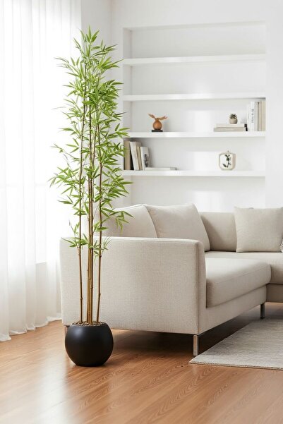 Casco شجرة بامبو صناعية أنيقة بأصيص اسود 250سم