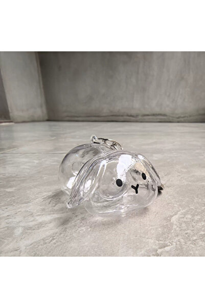 Choice Clear Transparent Rabbit Hair Keepsake Bottle Pet Hair Storage Capsule Keychain Thoughtful Gift for