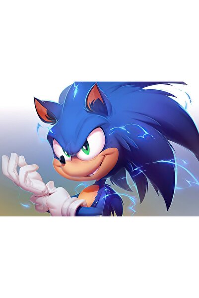 Zumzeria Tablou Canvas Sonic The Hedgehog 2020, 80x50cm, tablou483, ®
