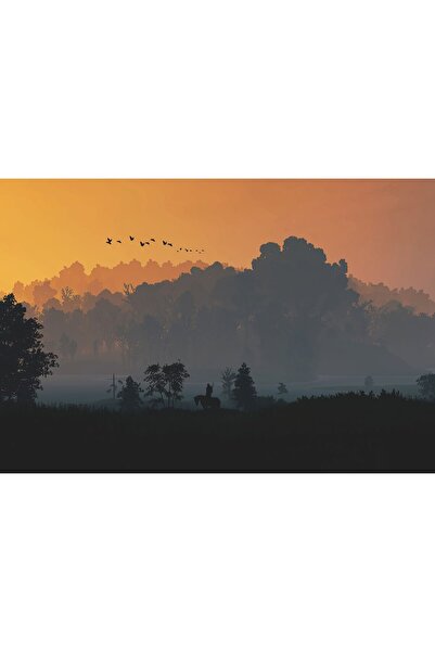 Zumzeria Tablou Canvas The Witcher 3 Minimal Nature, 80x50cm, tablou1285, ®