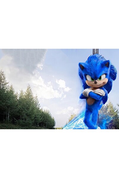 Zumzeria Tablou Canvas Sonic The Hedgehog 2020, 80x50cm, tablou484, ®