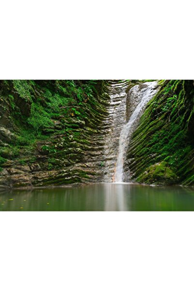 Zumzeria Καμβάς Tablou με βρύα και τρεχούμενο νερό, 80x50εκ., tabloucanvas105,