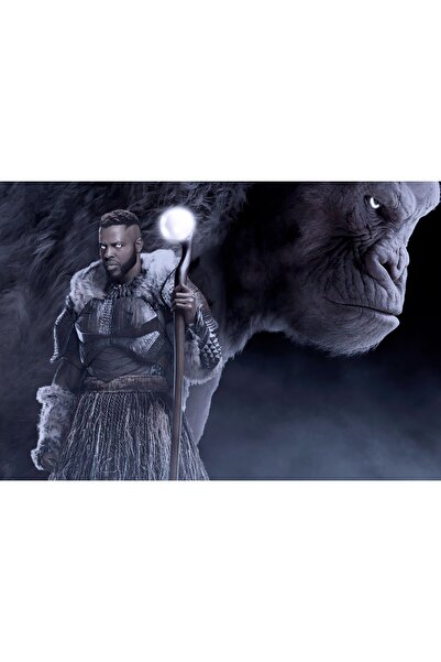 OEM Poster Pantera Neagră a Tribului Jabari, 61x90cm, poster2166, Zumzeria