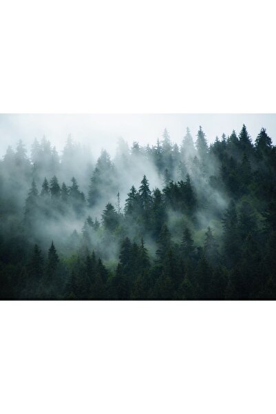 Zumzeria Tablou Canvas Shady Mountains, 80x50cm, tabloucanvas170, Zumzeria ®