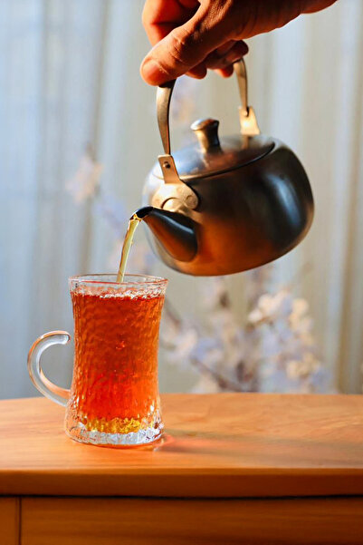 aloqiylat ابريق شاي ستانليس ستيل صناعة يدوية ياباني