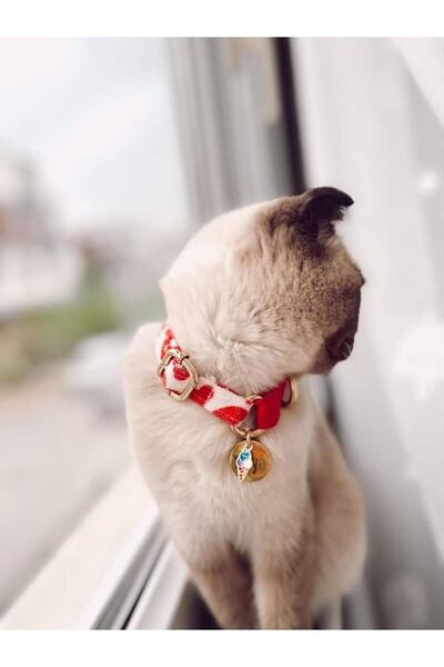 GoPawGo Charmlı Valentine Kedi Boyun Tasması