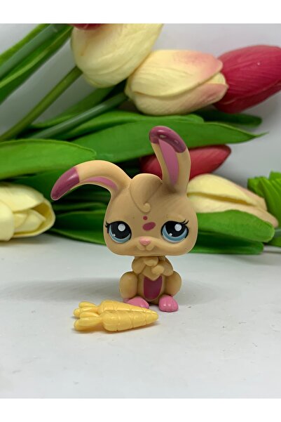 Littlest Pet Shop Hayvan Figür Oyuncak