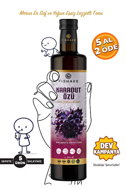 FiShake Karadut Özü 700 gr